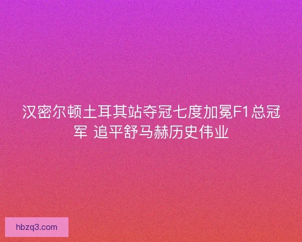 汉密尔顿土耳其站夺冠七度加冕F1总冠军 追平舒马赫历史伟业